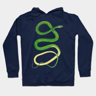 Snake Hoodie